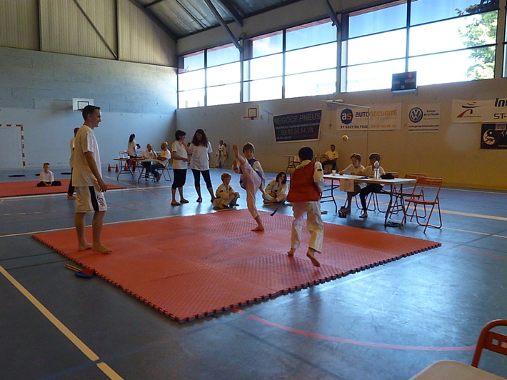 p4730274.jpg