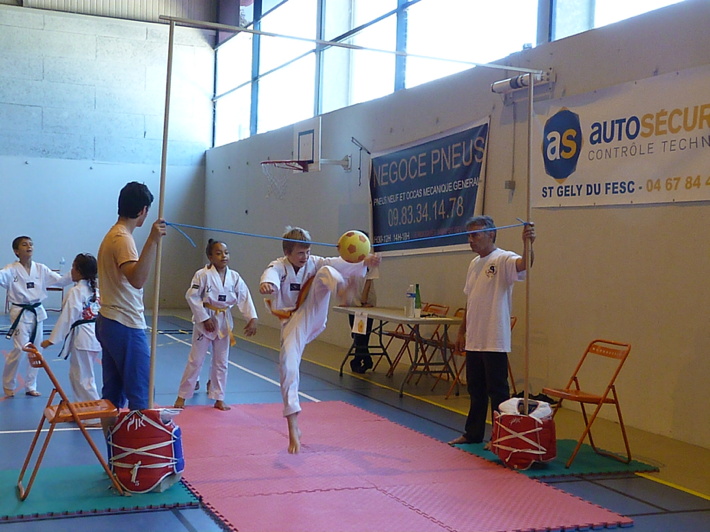 p4730808.jpg
