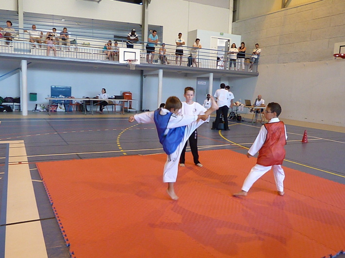 p4730963.jpg