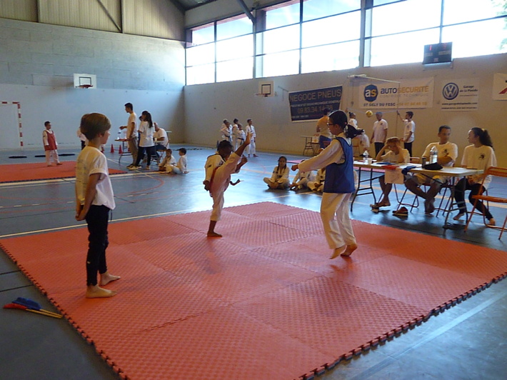 p4740048.jpg