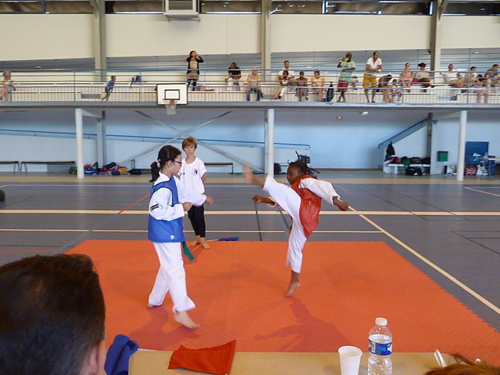 p4740078.jpg