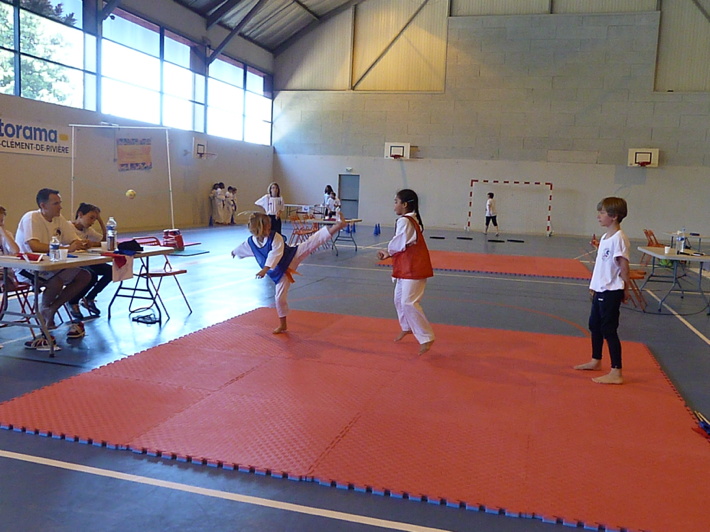 p4740374.jpg