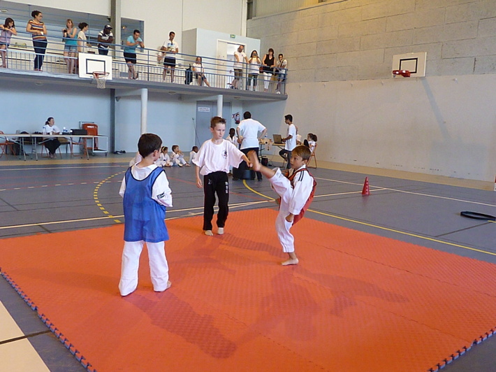 p4740464.jpg