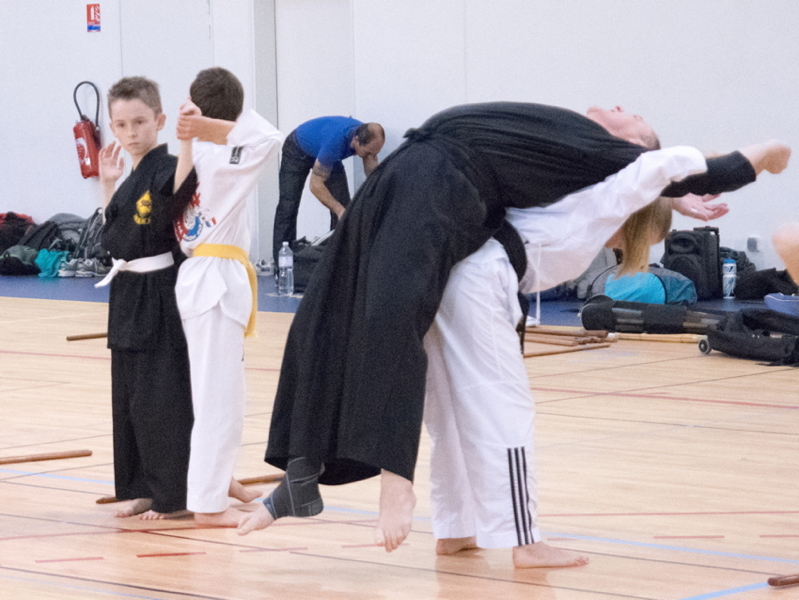 p4850499zse_minaire_des_arts_core_ens_11_de_cembre_2016-78.jpg