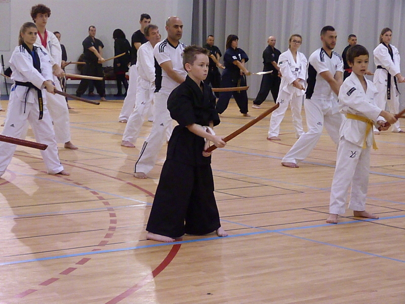 p4850504.jpg