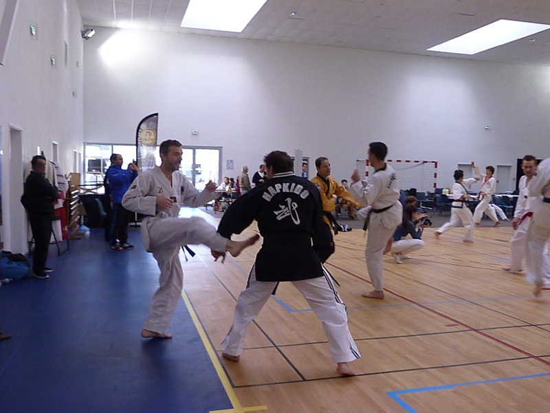 p4860460.jpg