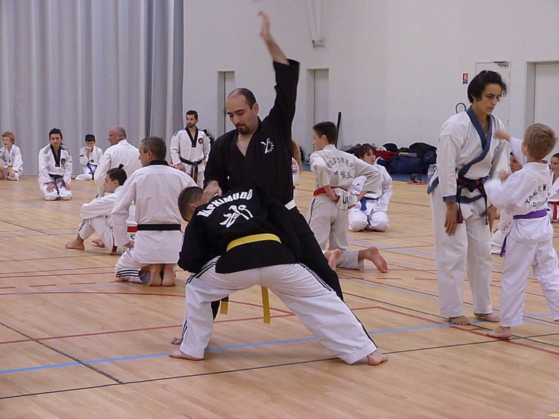 p4870235.jpg