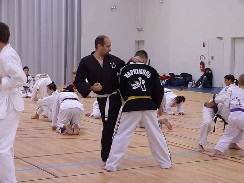 p4870258.jpg