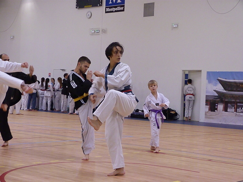p4870314.jpg