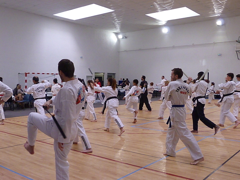 p4870555.jpg
