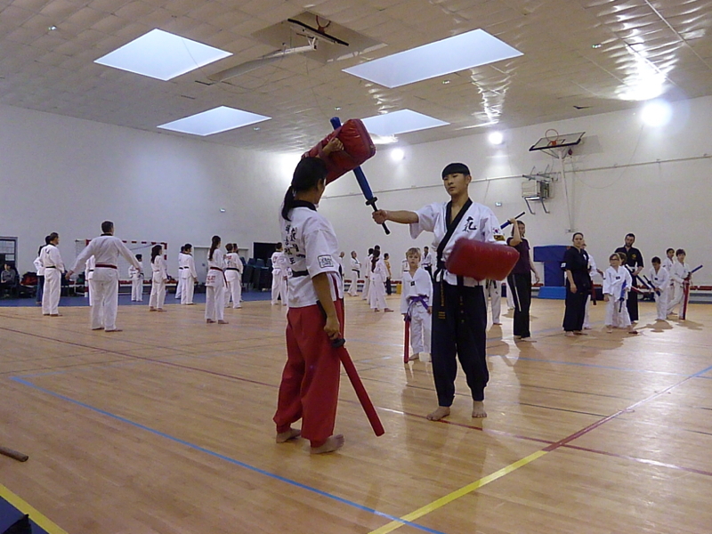 p4880059.jpg
