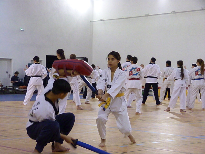 p4880147.jpg