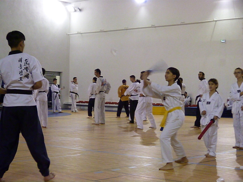 p4880250.jpg