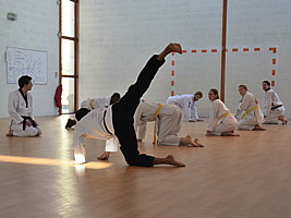 csc_0733.jpg