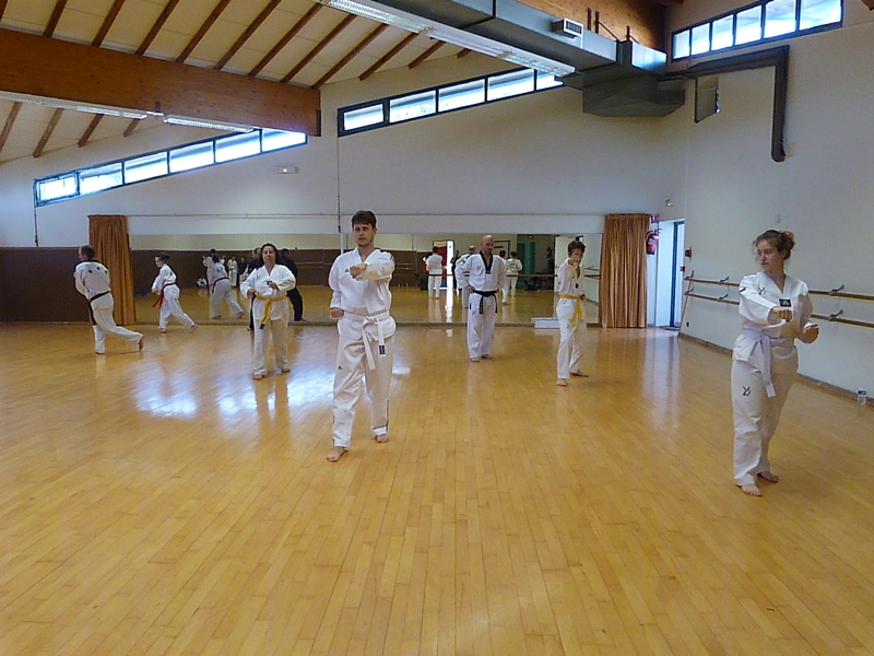 p4810389.jpg