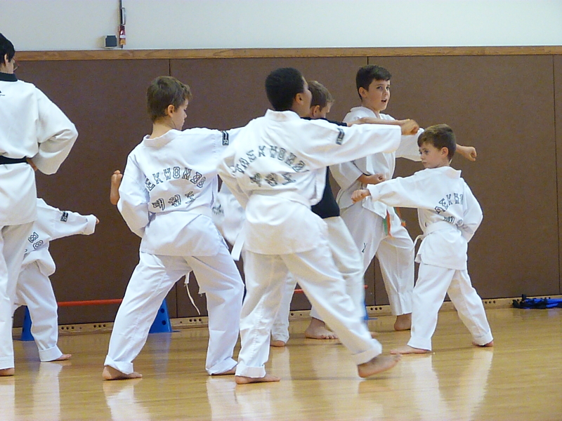 p4810596.jpg