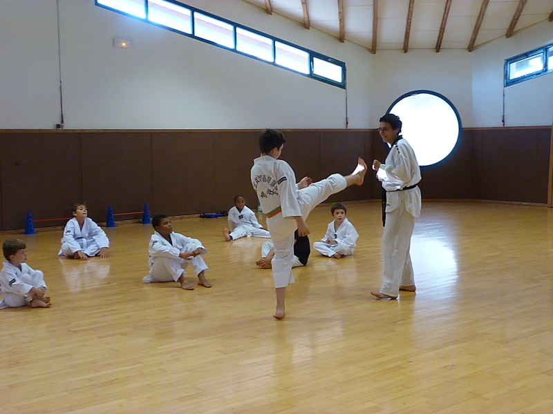 p4810787.jpg