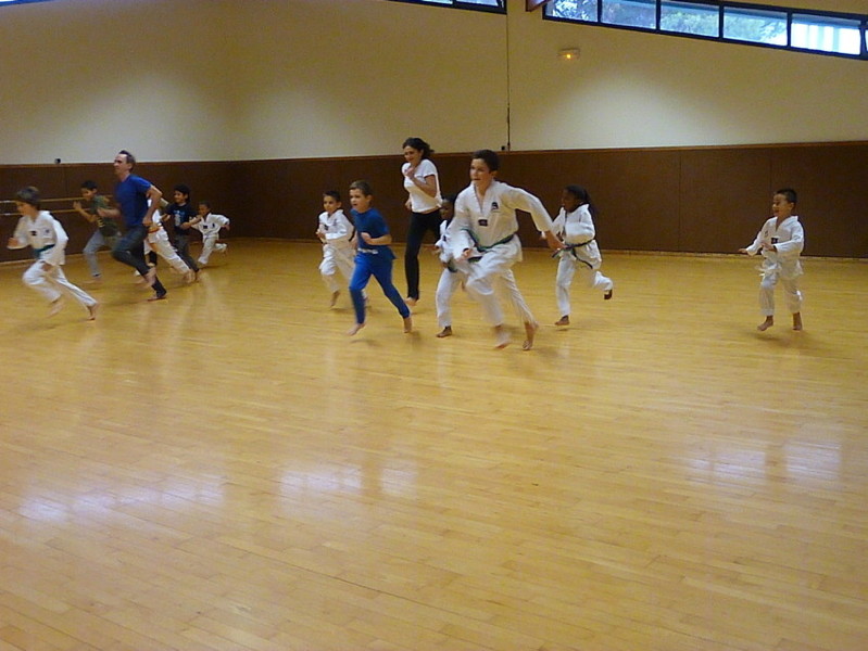p5290795.jpg