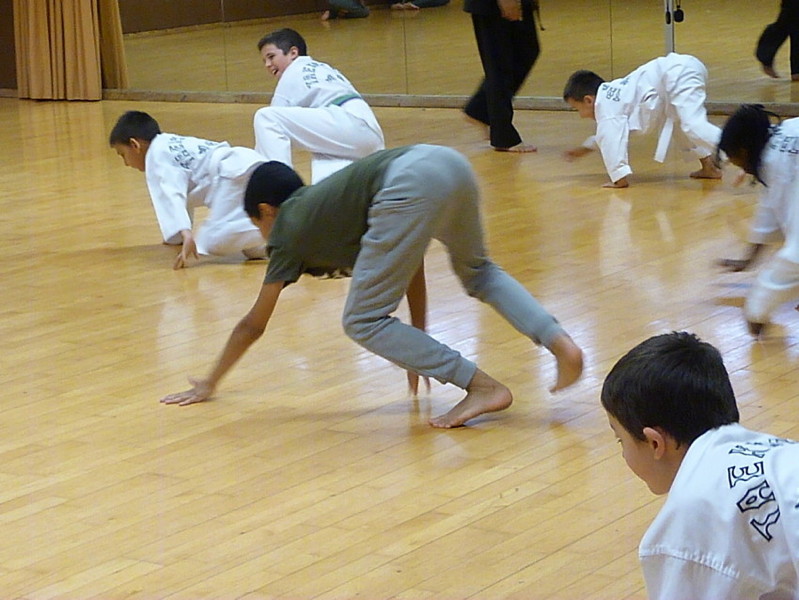p5290953.jpg