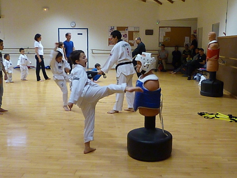 p5310153.jpg