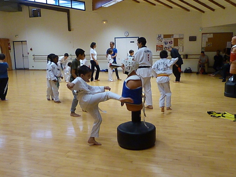 p5310162.jpg