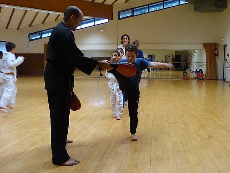 p5310370.jpg