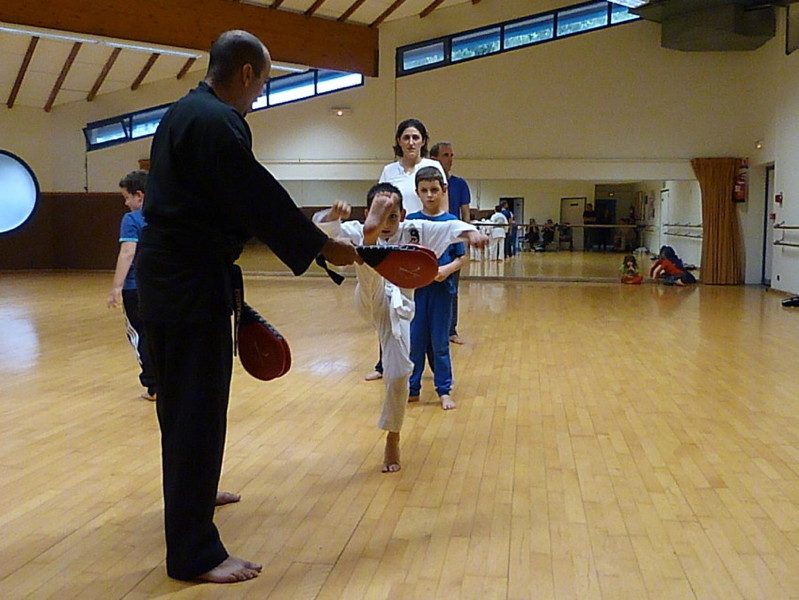p5310375.jpg