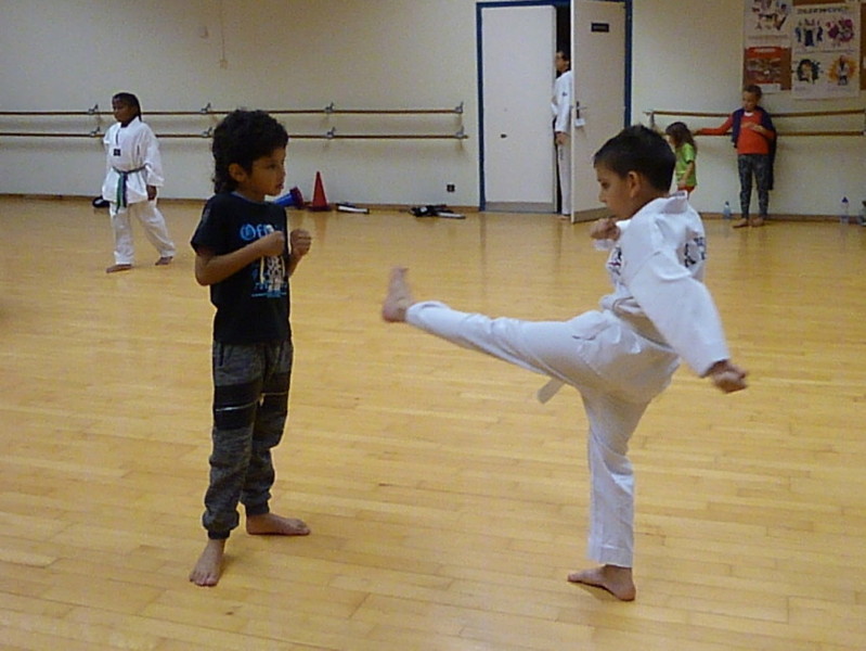 p5310483.jpg