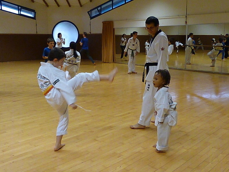 p5310674.jpg