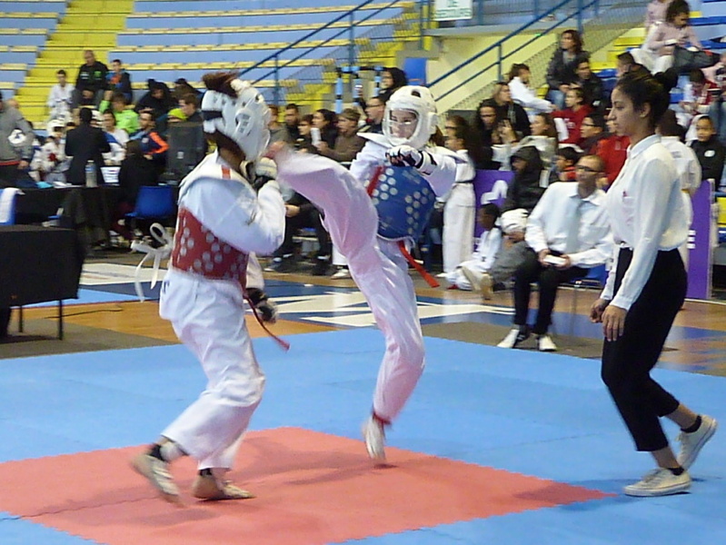 p5440159.jpg