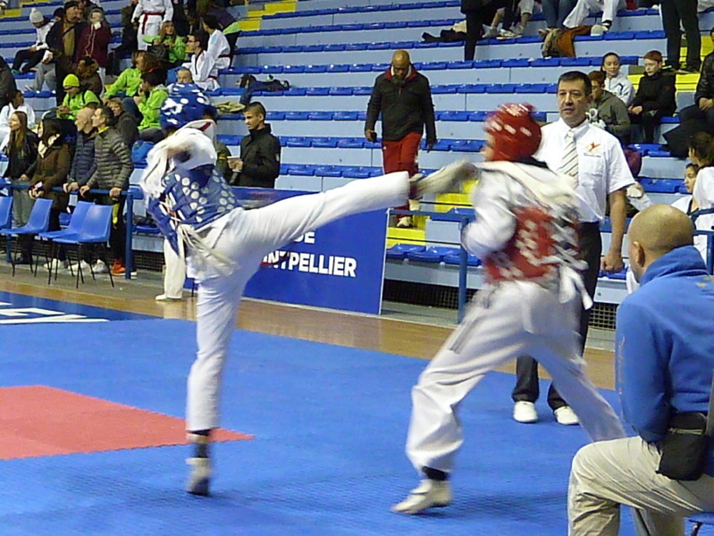 p5440795.jpg