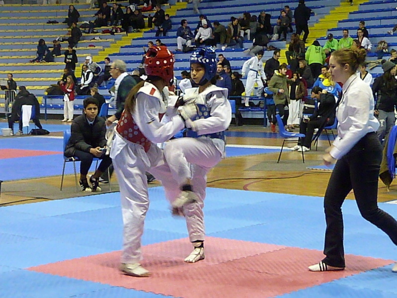 p5450383.jpg