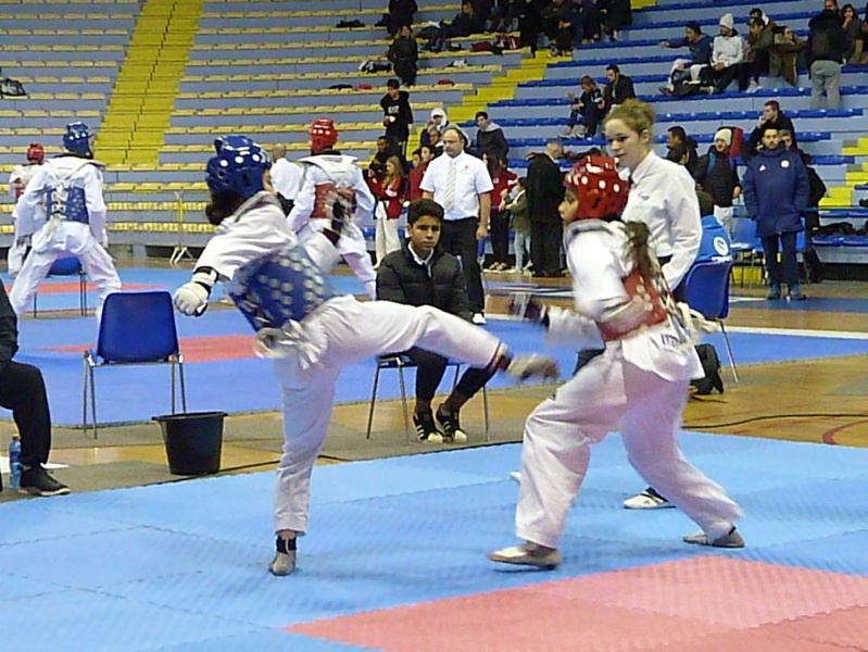 p5450428.jpg