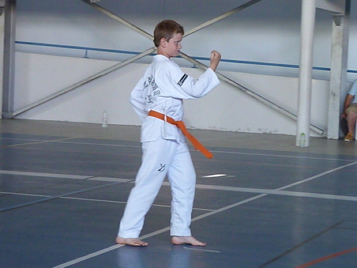 p5230695.jpg