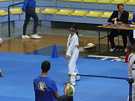 p5020620.jpg