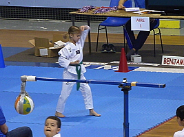 p5020738.jpg