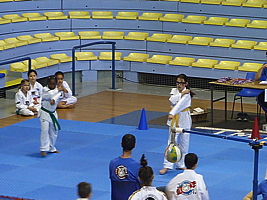 p5020876.jpg