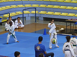 p5020882.jpg