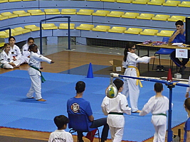 p5020891.jpg
