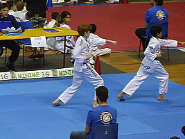 p5020970.jpg