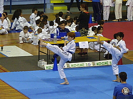 p5020978.jpg