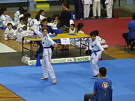 p5020985.jpg