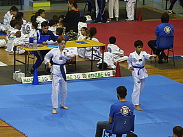 p5020991.jpg