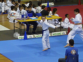 p5030041.jpg