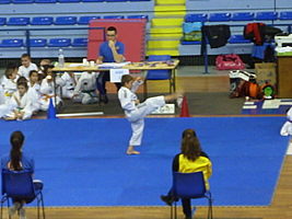 p5030069.jpg