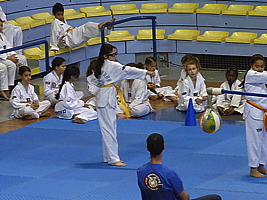 p5030242.jpg