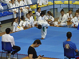 p5030347.jpg
