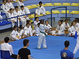 p5030362.jpg