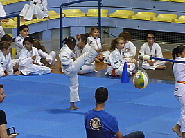 p5030378.jpg