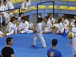 p5030385.jpg
